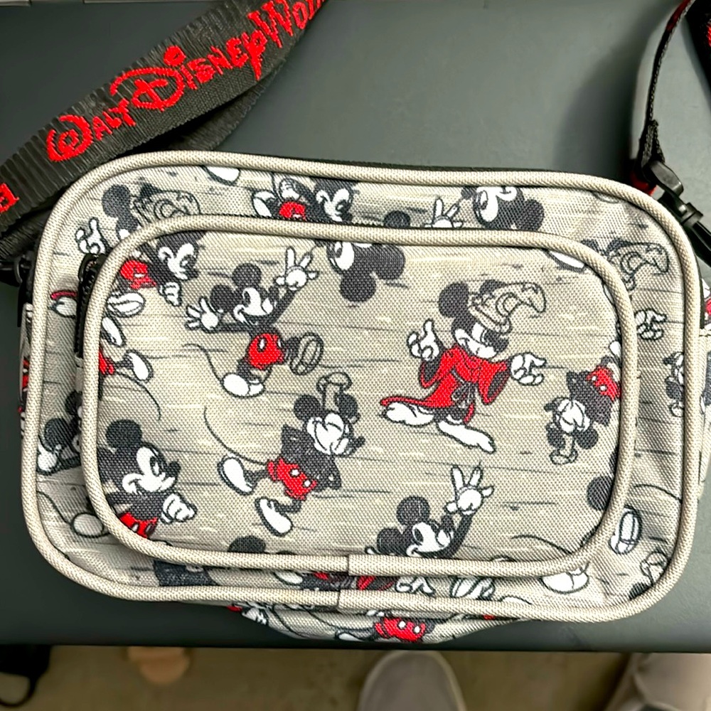 Small Walt Disney World bag with Walt Disney world strap